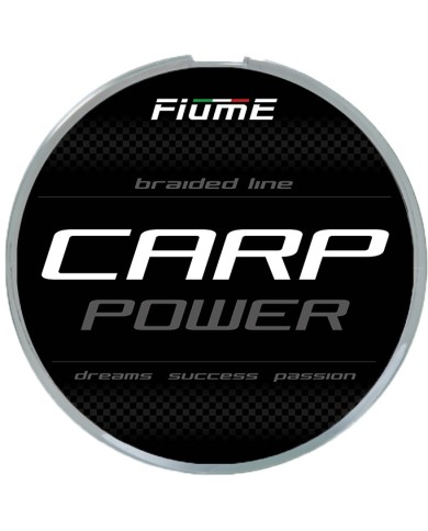 PLECIONKA CARP POWER 4X, 300m, DARK BROWN, 0,30mm